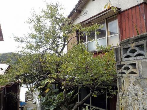 島根県隠岐郡隠岐の島町港町大津の二