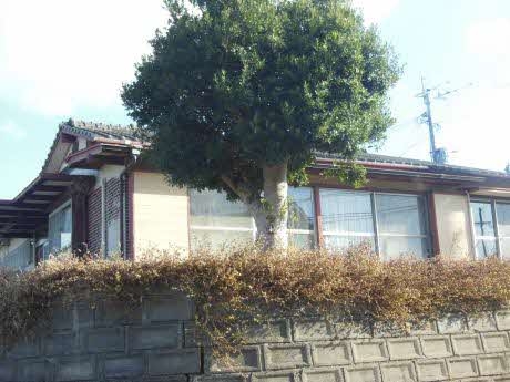 熊本県荒尾市荒尾